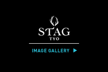 STAG Iage Gallery